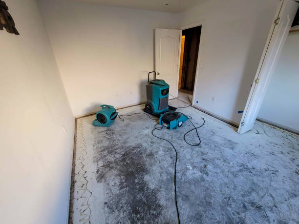 Best Residential water damage restoration  in Seabrook Farms, NJ