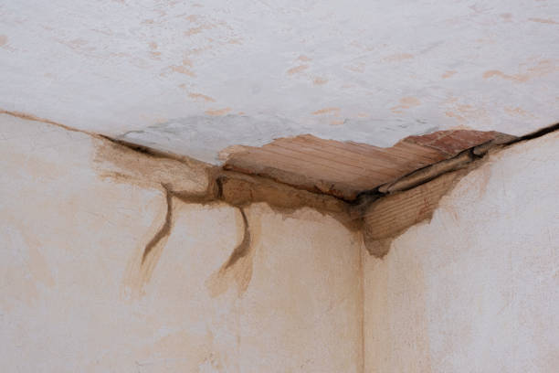 Best Water damage cleanup near me  in Seabrook Farms, NJ