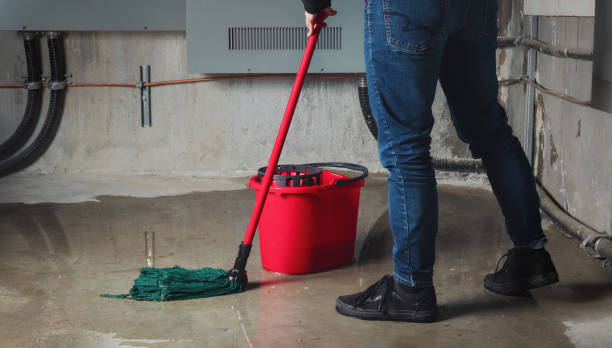 Best Basement water damage restoration  in Seabrook Farms, NJ