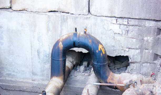 Best Local water damage restoration  in Seabrook Farms, NJ