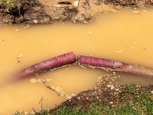 Best Water damage restoration process  in Seabrook Farms, NJ